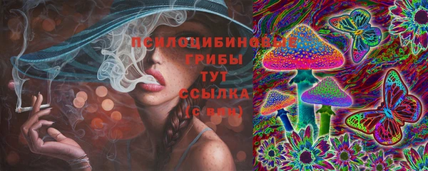 прущие крисы Магас