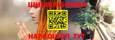 шишки Канаш