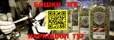 стаф Камышлов