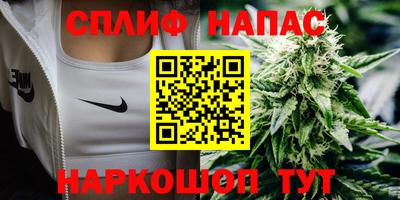 стаф Камышлов