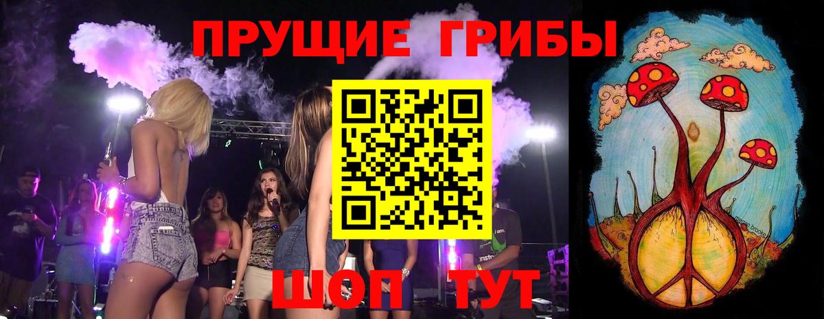 Псилоцибиновые грибы MAGIC MUSHROOMS  Псилоцибиновые грибы прущие грибы  Вход с VPN  Бирск 